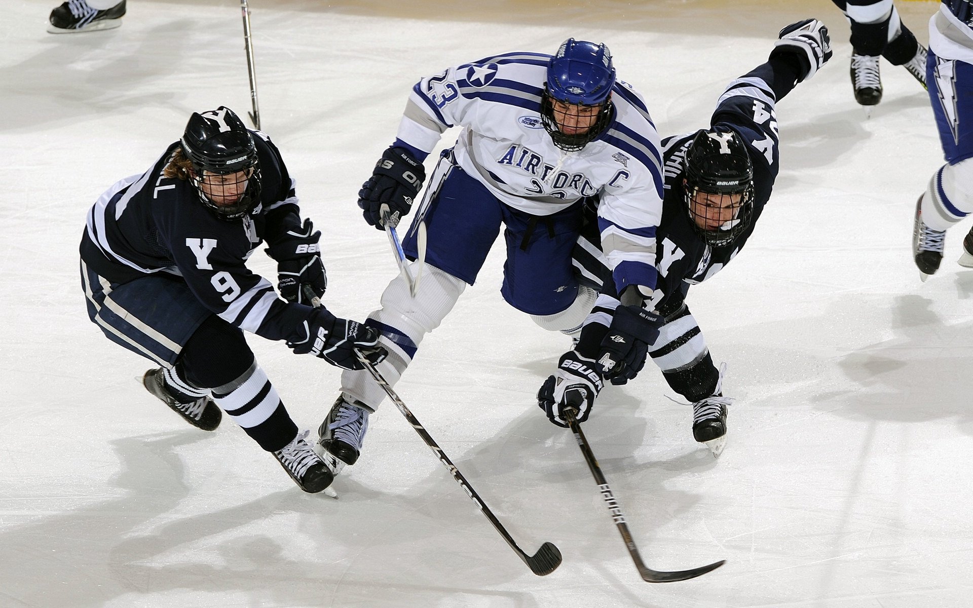 女子网球公开赛中国选手表现突出,晋级八强,女子网球职业赛事